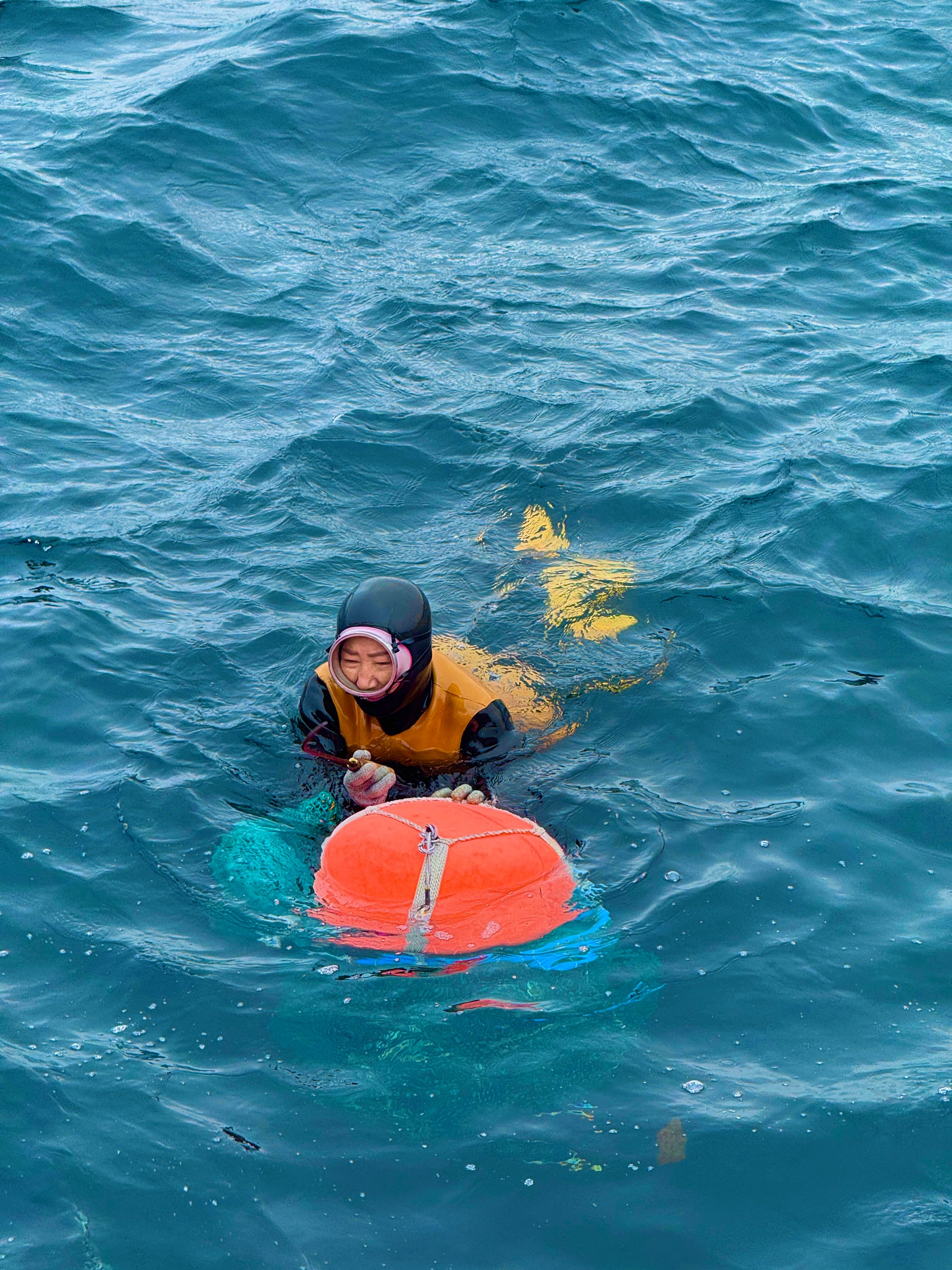 A haenyeo diver at work in the waters off Hallim — joining the women in their daily practice.